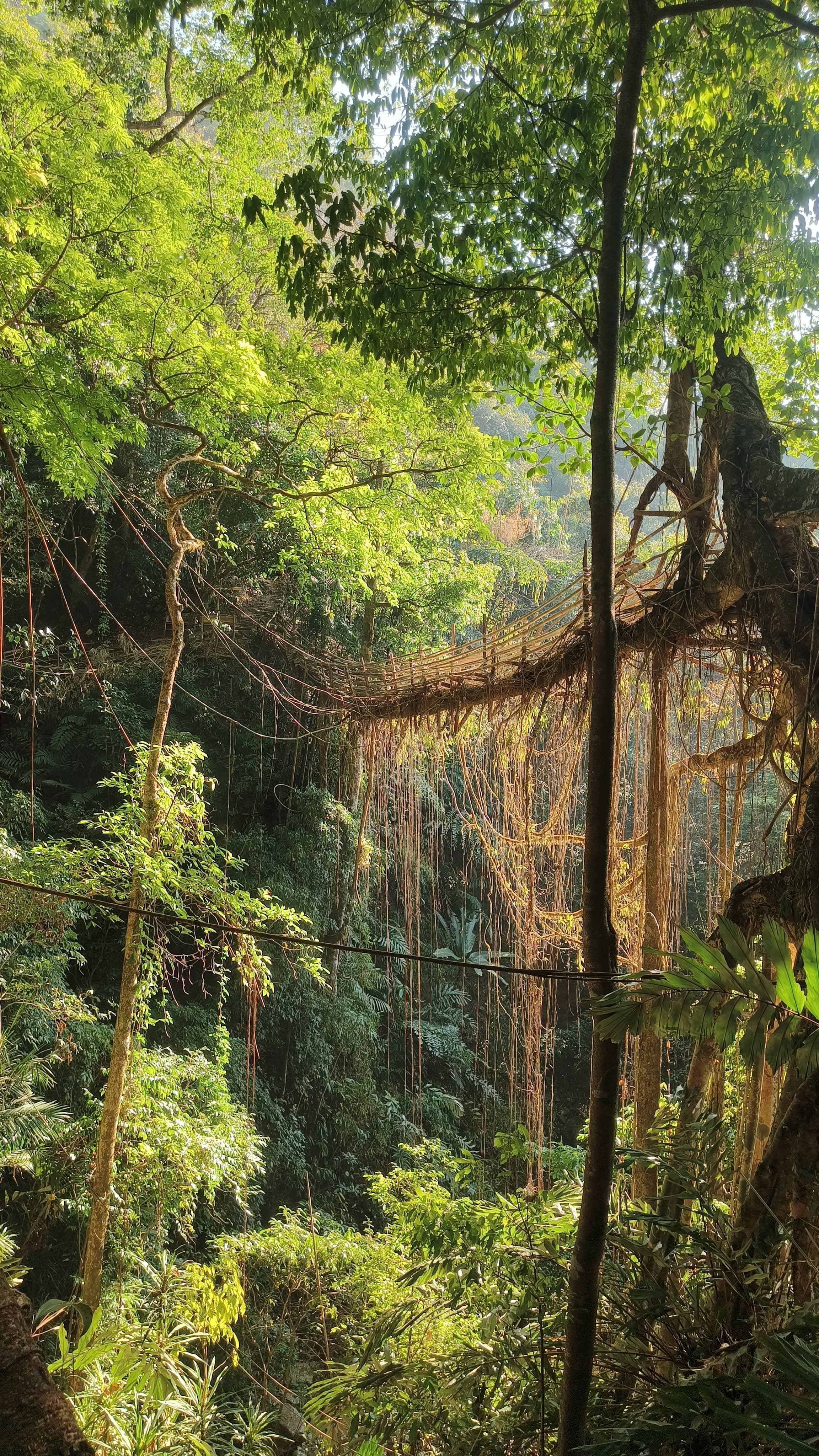 Is an Offbeat Meghalaya Tour Worth the Cost? & Estimated Budget