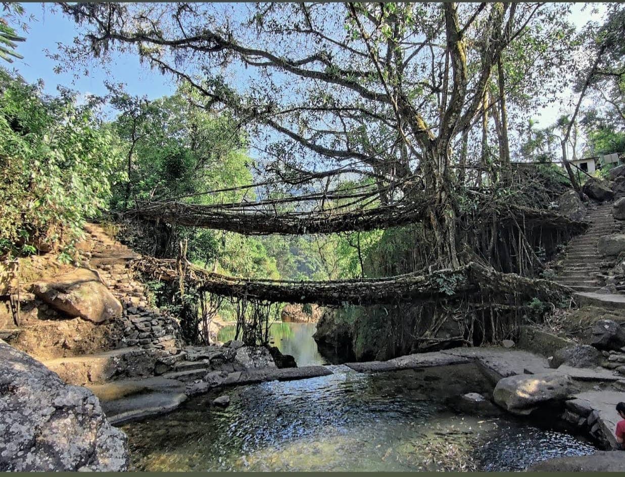 How to Reach Double Decker Living Root Bridge