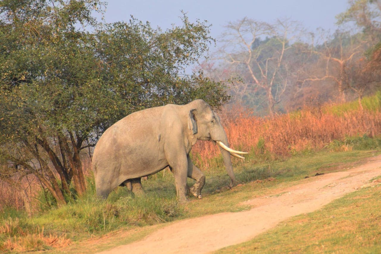 Assam – The Gateway to Northeast India