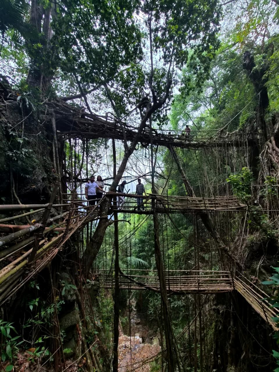 Quick Facts About Slow Travel in Meghalaya