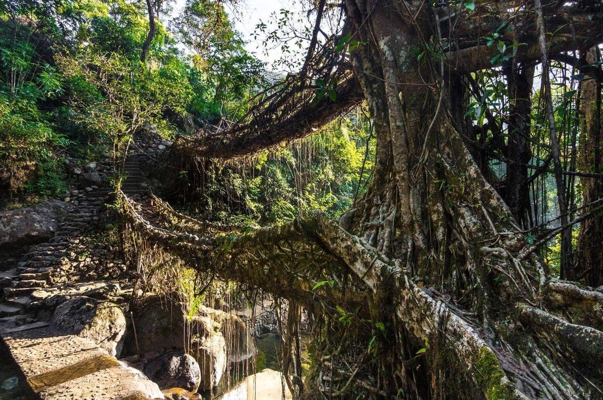 Nearby Attractions Around Double Decker Living Root Bridge