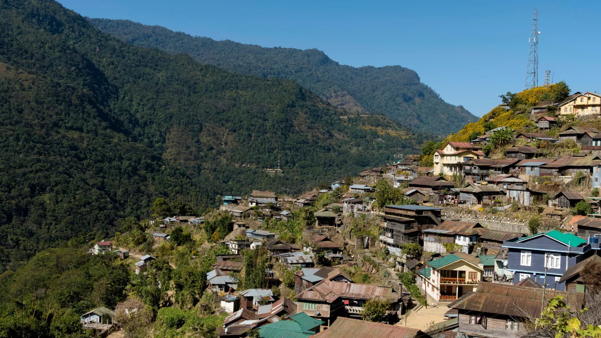 Nagaland · placeholder