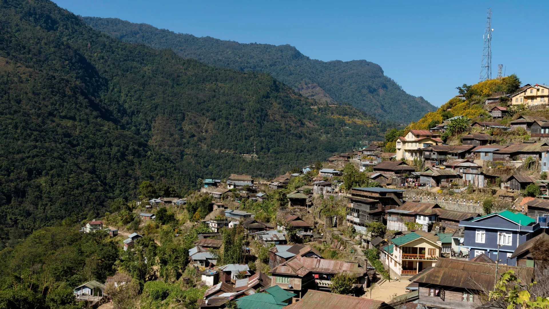 Nagaland · placeholder